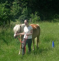 Retreat zur Selbstreflexion – Pferdegestütztes Coaching